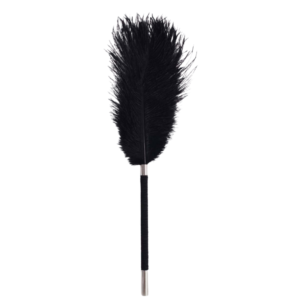 Flirty Ostrich Feather Duster