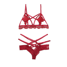 Passionate Red Flowers Cris Cross Lingerie Lingerie with feathers