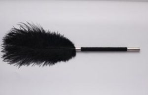 Flirty Ostrich Feather Duster Leather Harness