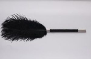 Flirty Ostrich Feather Duster BDSM Essentials 23-Piece Starter Set