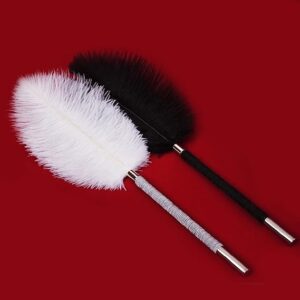 Flirty Ostrich Feather Duster - Image 4